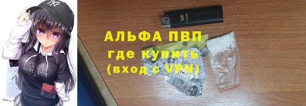 стафф Алексин