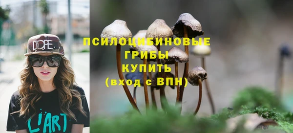 гидра Алексеевка