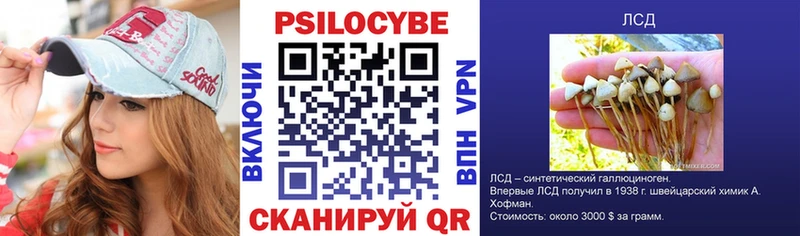 купить наркоту  Конаково  OMG рабочий сайт  Псилоцибиновые грибы мицелий 