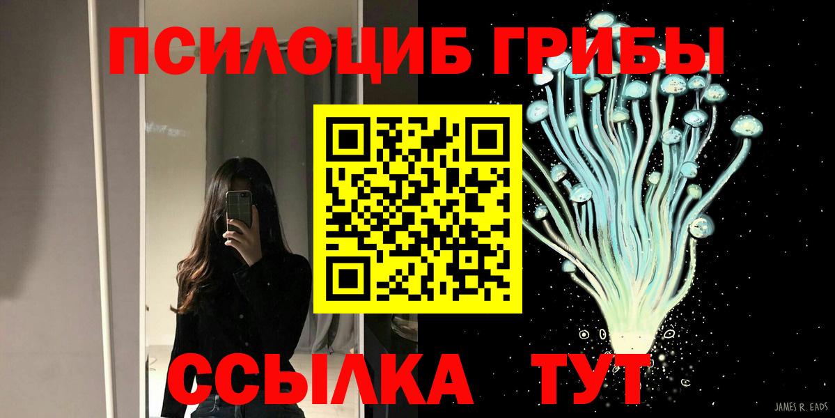 Псилоцибиновые грибы ЛСД Конаково
